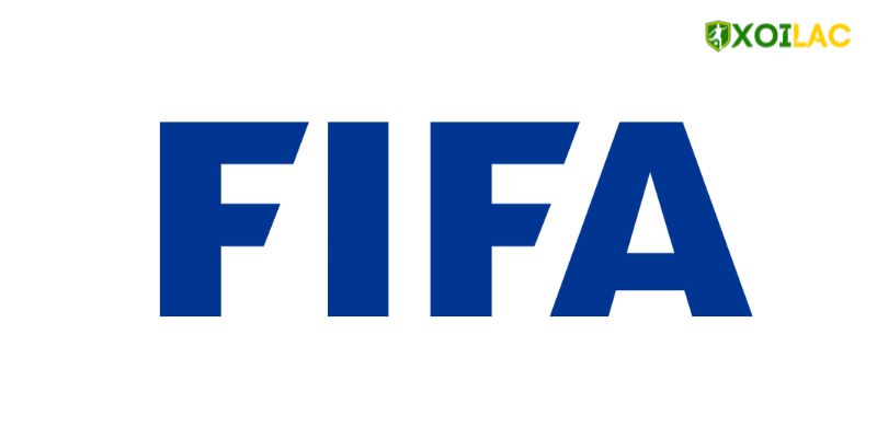 Liên đoàn bóng đá thế giới FIFA Liên đoàn bóng đá thế giới FIFA