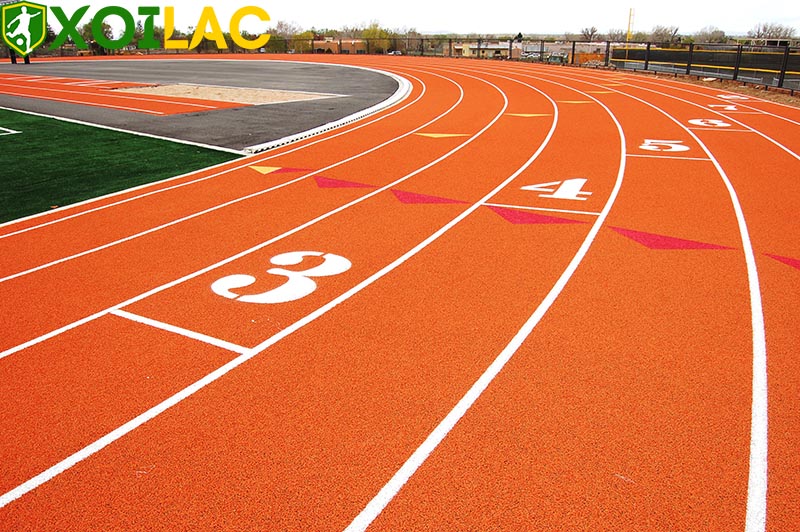 Đường Pitch là gì? Đường Pitch là gì?