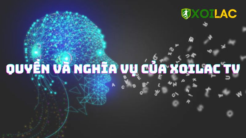 Quyền và nghĩa vụ của Xoilac TV Quyền và nghĩa vụ của Xoilac TV
