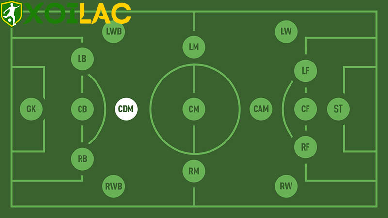 CDM trong bóng đá là gì? CDM trong bóng đá là gì?