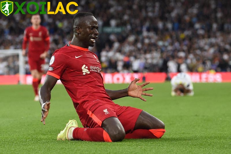 Mane chơi xuất sắc nhất danh sách cầu thủ Liverpool 2022 Mane chơi xuất sắc nhất danh sách cầu thủ Liverpool 2022